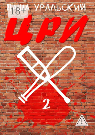 Обложка книги «ЦРИ-2»