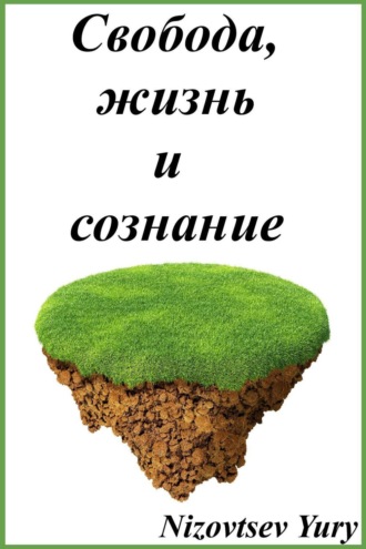 Обложка книги «В чем, как и для чего действует свобода?»