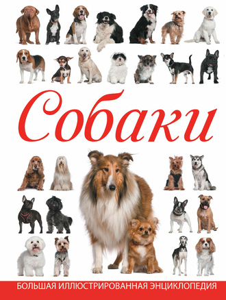 Обложка книги «Собаки»
