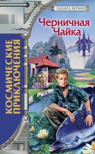 Обложка книги «Черничная Чайка»