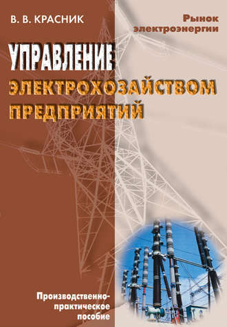 В. В. Красник. Управление электрохозяйством предприятий