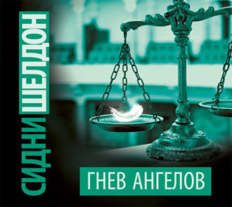 Обложка книги «Гнев ангелов»