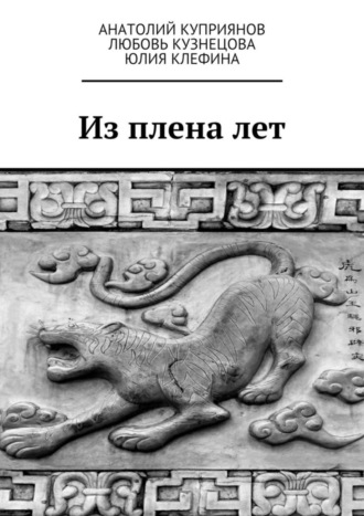 Обложка книги «Из плена лет»