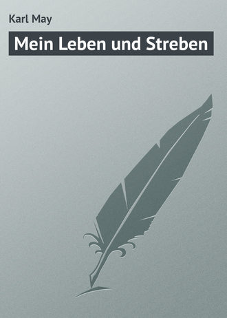 Обложка книги «Mein Leben und Streben»