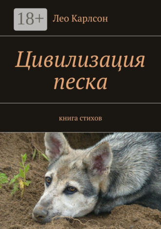 Обложка книги «Цивилизация песка. книга стихов»