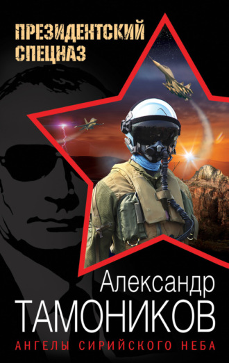 Обложка книги «Ангелы сирийского неба»