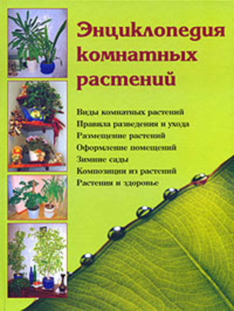 Обложка книги «Энциклопедия комнатных растений»