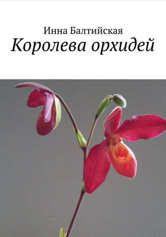 Обложка книги «Королева орхидей»
