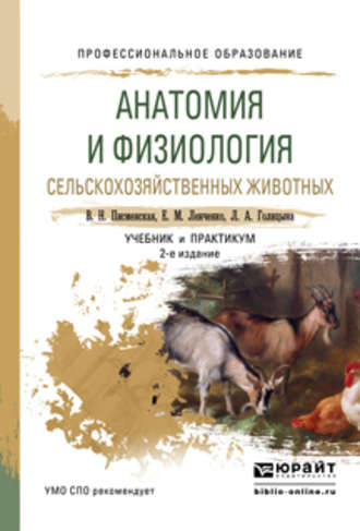 Людмила Александровна Голицына. Анатомия и физиология сельскохозяйственных животных 2-е изд., испр. и доп. Учебник и практикум для СПО