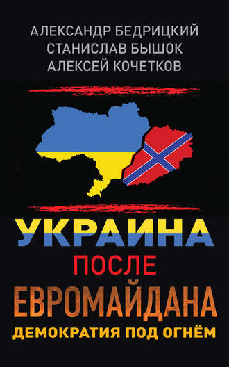 Обложка книги «Украина после Евромайдана. Демократия под огнём»