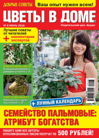 Обложка книги «Добрые советы. Цветы в доме. №06/2016»