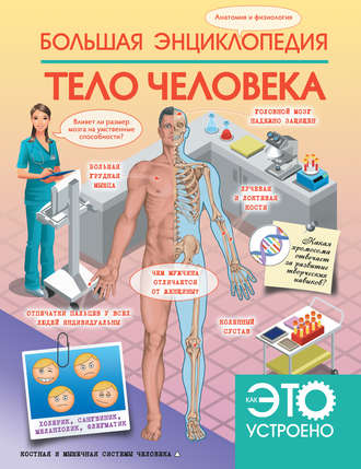 Обложка книги «Большая энциклопедия. Тело человека»