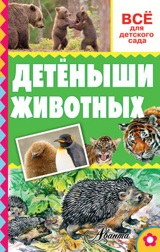 Обложка книги «Детёныши животных»
