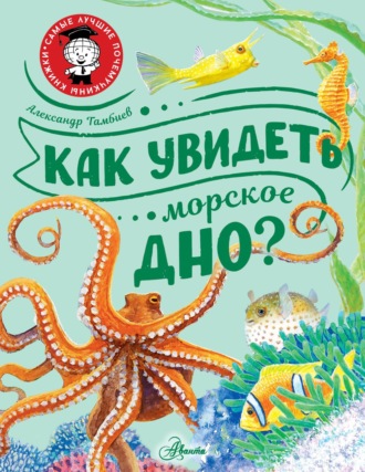 Александр Тамбиев. Как увидеть морское дно?