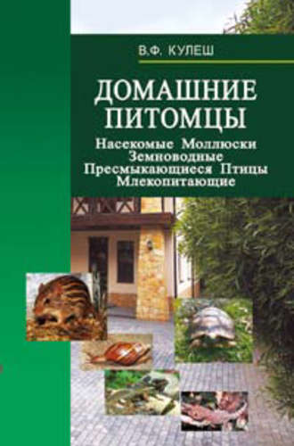 Обложка книги «Домашние питомцы: Насекомые. Моллюски. Земноводные. Пресмыкающиеся. Птицы. Млекопитающие»