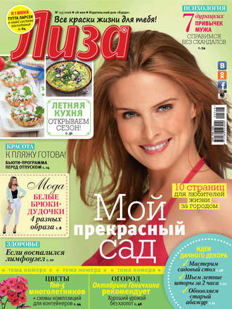 Обложка книги «Журнал «Лиза» №23/2016»