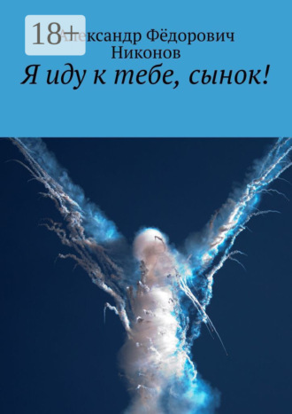 Обложка книги «Я иду к тебе, сынок!»