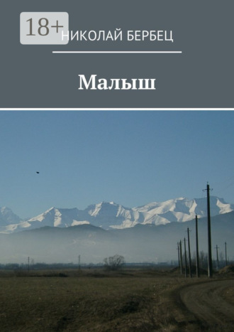 Обложка книги «Малыш»