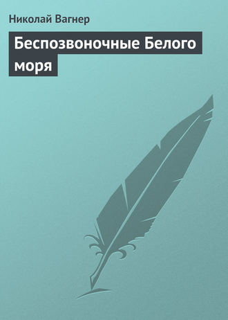 Обложка книги «Беспозвоночные Белого моря»