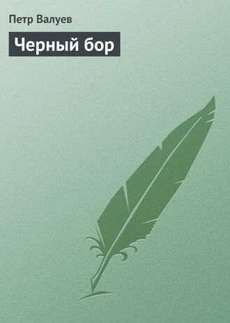 Обложка книги «Черный бор»