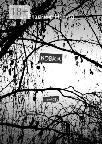 Обложка книги «Вовка. повесть»