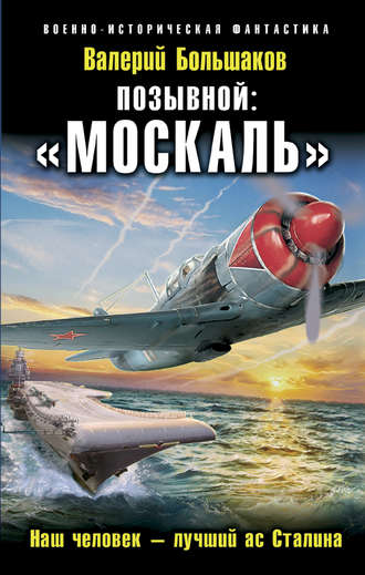 Валерий Петрович Большаков. Позывной: «Москаль». Наш человек – лучший ас Сталина