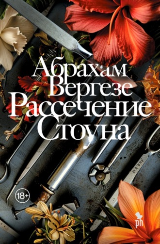 Обложка книги «Рассечение Стоуна»