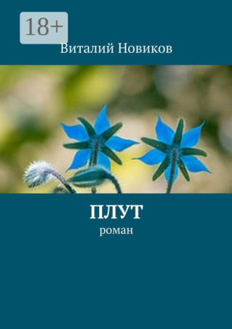 Обложка книги «Плут. роман»