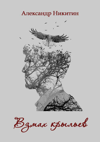 Обложка книги «Взмах крыльев»