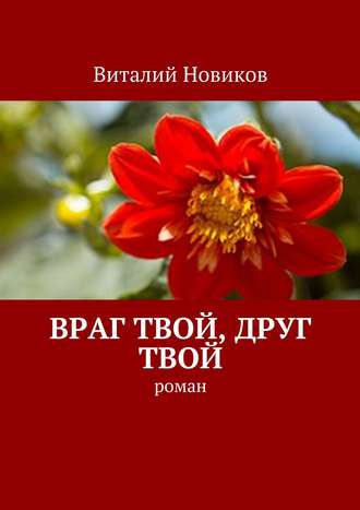 Виталий Новиков. Враг твой, друг твой. Роман