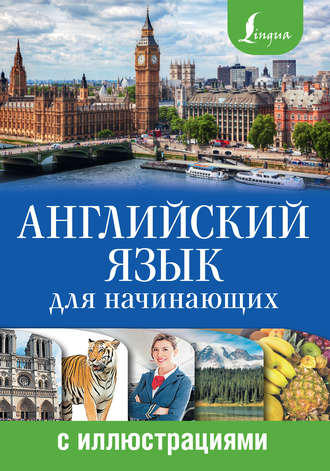 Обложка книги «Английский язык для начинающих с иллюстрациями»