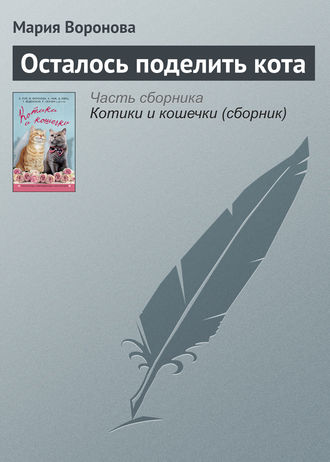 Обложка книги «Осталось поделить кота»