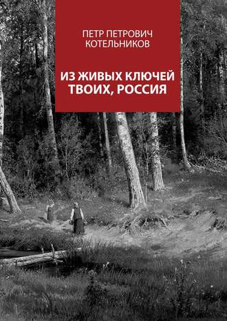 Обложка книги «Из живых ключей твоих, Россия»