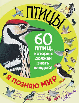 Обложка книги «Птицы. 60 птиц, которых должен знать каждый»
