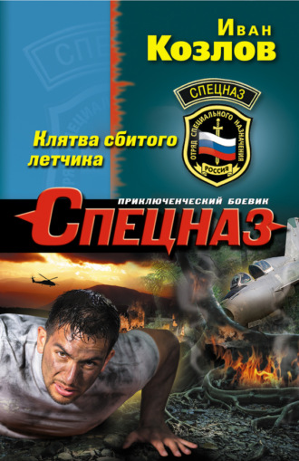 Обложка книги «Клятва сбитого летчика»