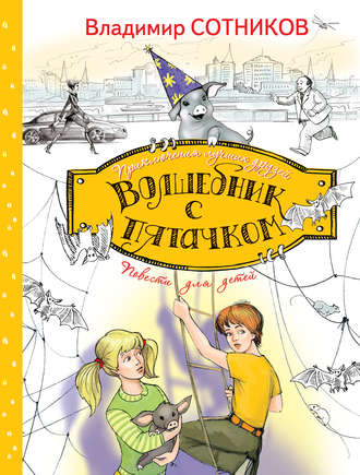 Обложка книги «Волшебник с пятачком»
