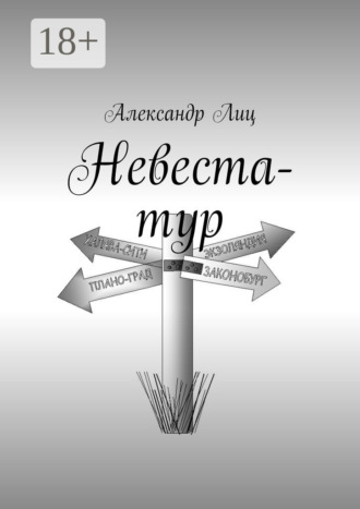 Обложка книги «Невеста-тур»