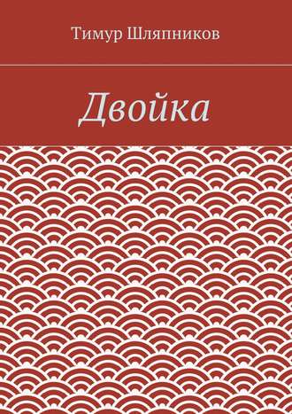 Тимур Шляпников. Двойка