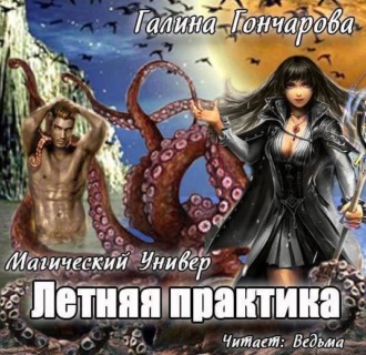 Обложка книги «Летняя практика»