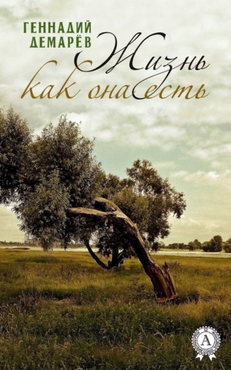 Обложка книги «Жизнь как она есть»