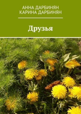 Обложка книги «Друзья»