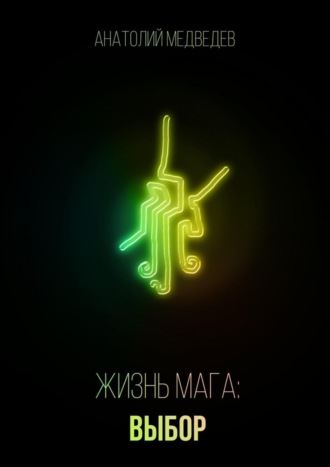 Обложка книги «Жизнь мага: Выбор»