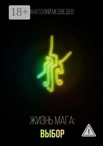 . Жизнь мага: Выбор