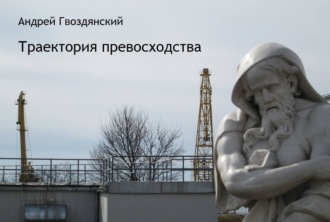 Обложка книги «Траектория превосходства»