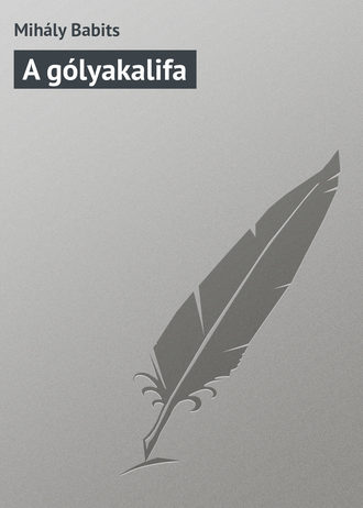 Обложка книги «A gólyakalifa»