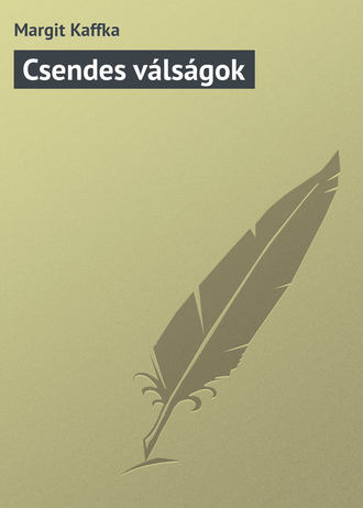 Обложка книги «Csendes válságok»