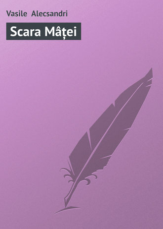 Обложка книги «Scara Mâței»