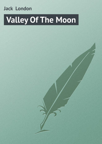 Обложка книги «Valley Of The Moon»