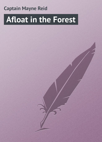 Обложка книги «Afloat in the Forest»