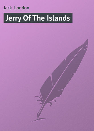 Обложка книги «Jerry Of The Islands»